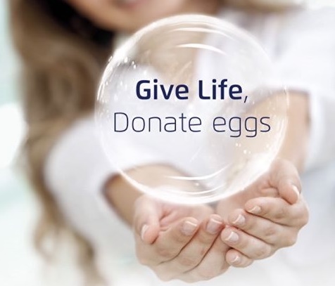 donate eggs