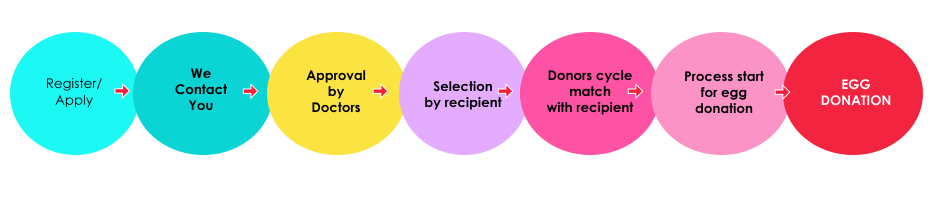 egg donation procedure