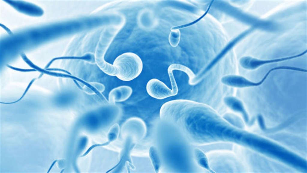 Tesa And Pesa Defination Procedure And Benefits Best Ivf Clinic Nagpur