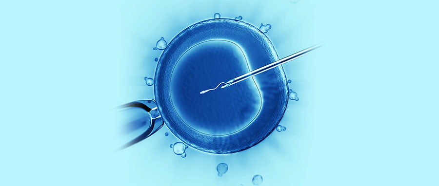 Sperm injection