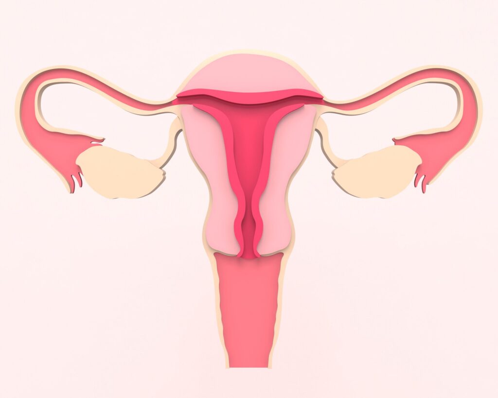 Blocked Fallopian Tubes? Here’s How You Can Still Get Pregnant