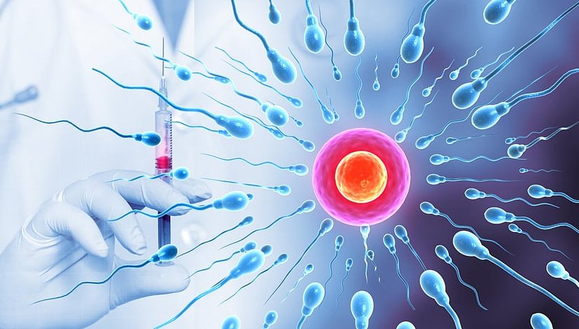 Why Does IUI Fail? Common Reasons and What to Consider Next