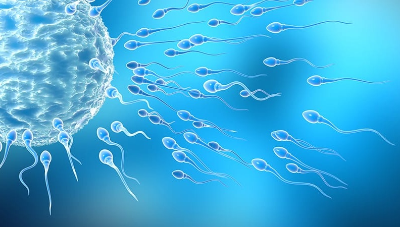 Semen Analysis Explained: Why Sperm Quality Goes Beyond Sperm Count?